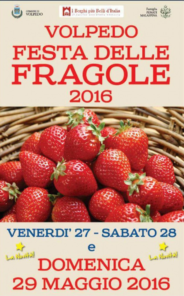 Festa fragole 2016