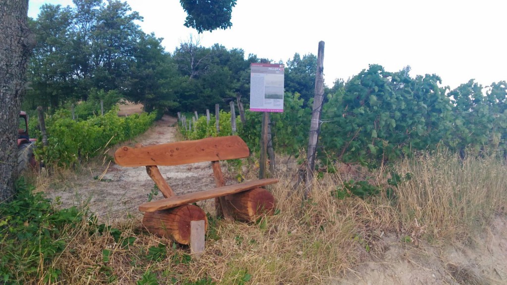 02 - Veduta di Chiesa